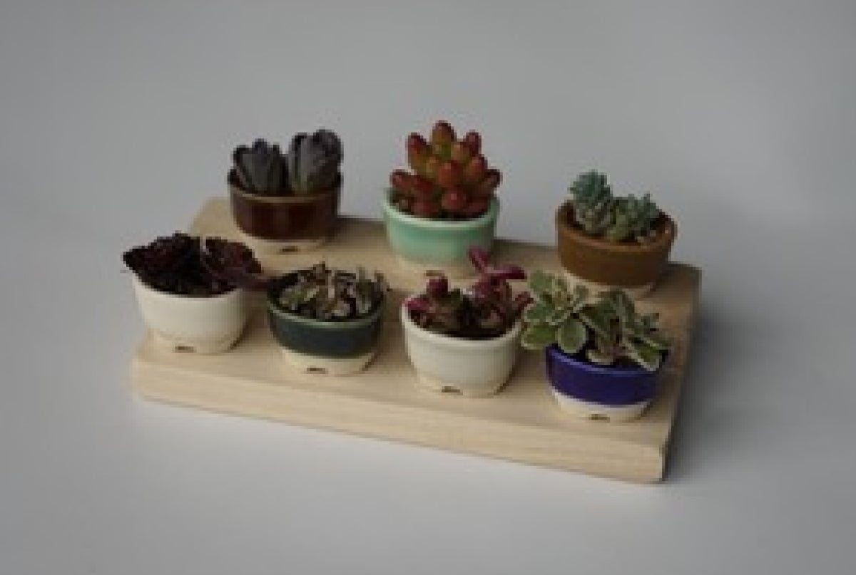 株式会社文山製陶所 | 瀬戸焼振興協会