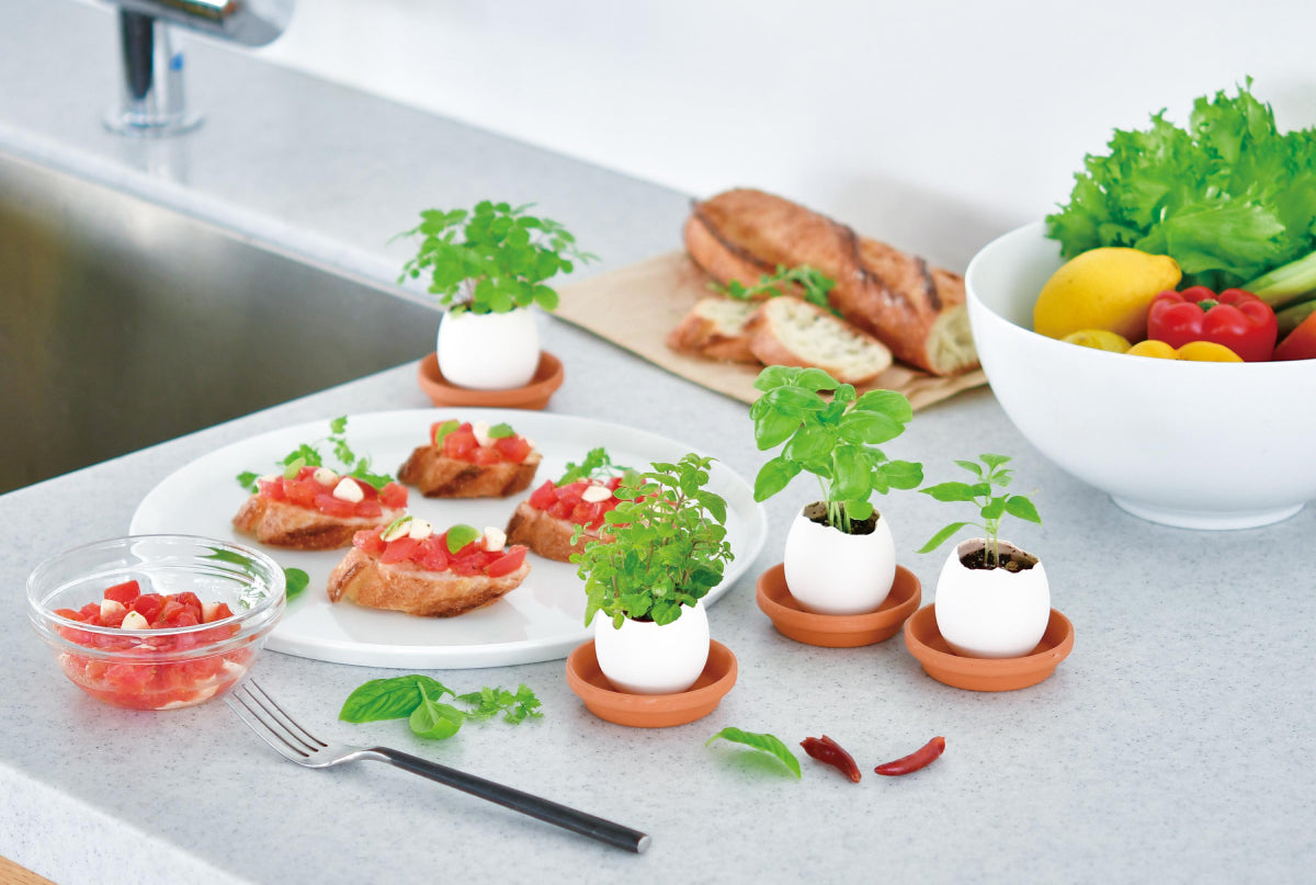 Shinsen Ceramics Co., Ltd. | 瀬戸焼振興協会