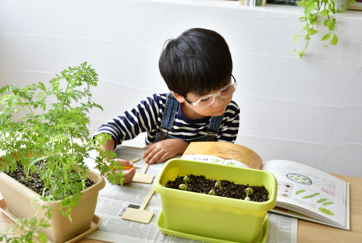 Shinsen Ceramics Co., Ltd. | 瀬戸焼振興協会