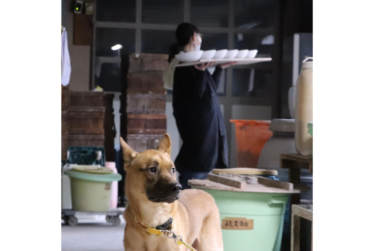 有限会社椿窯 | 瀬戸焼振興協会
